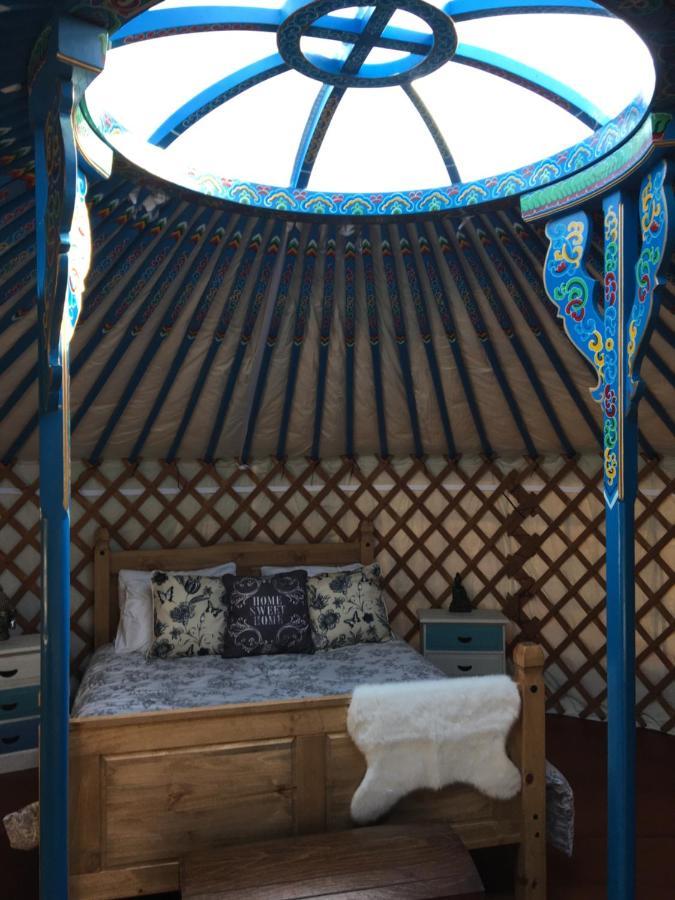 Отель French Fields Luxury Glamping Original Mongolian Yurt Le-Vieux-Cerier Экстерьер фото